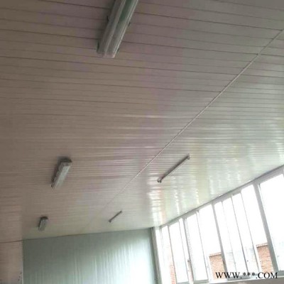 電子廠頂棚塑料板 樹脂板 強度大耐沖擊易清洗