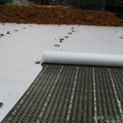 蓄排水板 供應安陽殷都區 廠家直供 建筑夾層塑料板 蓄排水板