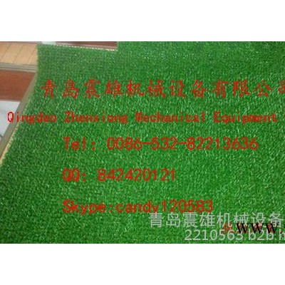 塑料板材設(shè)備，PE淘金草設(shè)備，塑料地墊生產(chǎn)線