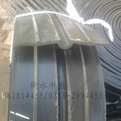 衡水中盛 專業 654型橡膠止水帶 廠家網站
