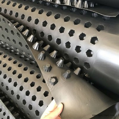拓林PSB-2 可定制 復合排水網 高密度聚乙烯排水板