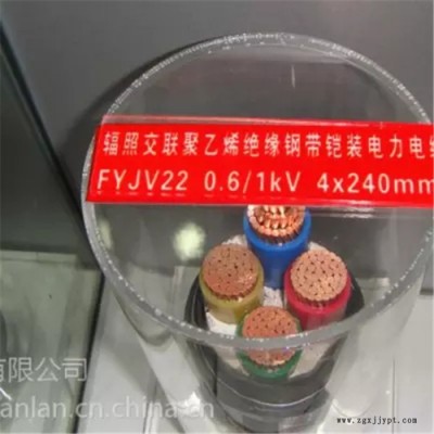 FYJV22   0.6/1KV 帶鎧裝聚氯乙烯絕緣電力電纜 聚乙烯電纜料