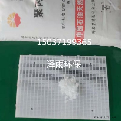 D型濾池PP攔截網板質量穩定-彗星濾料攔截板濾價格美麗-pp攔截板生產工藝視頻-PP攔截網板安裝調試注意事項