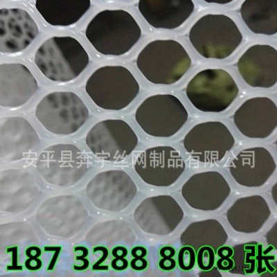 奔宇 廠家供應  PP PVC工程塑膠網 塑料平網 網孔規(guī)格全 可按需定制