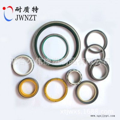 骨架油封 骨架防塵系列密封  防塵密封圈  優質骨架防塵油封  耐質特 廠家現貨供應