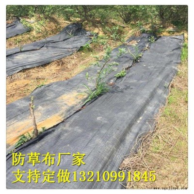 園藝地布廠家，果園園林防草布 室內花盆擺放地布 廠家質量好價格合理