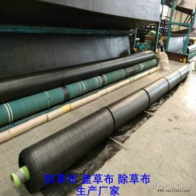 北京防草布廠(chǎng)家,果園除草布_蓋草布_抑制雜草生長(zhǎng)地布,透氣_透水_防蟲(chóng)害