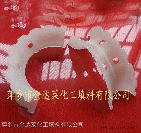 PP異鞍環(huán) 聚丙烯塑料異鞍環(huán) 萍鄉(xiāng)金達(dá)萊