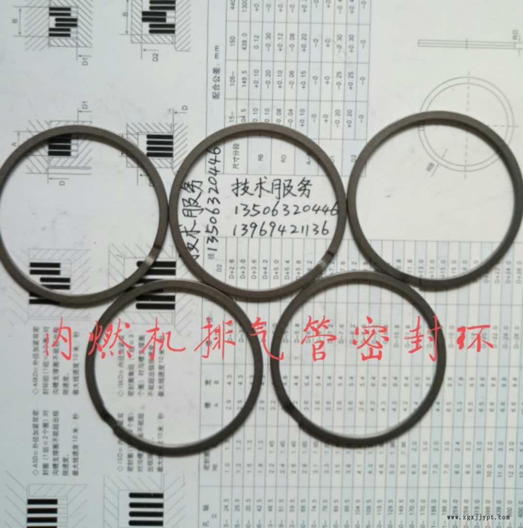 汽車 排氣管 密封環 密封圈 排氣管密封環 內燃機排氣管密封環示例圖2