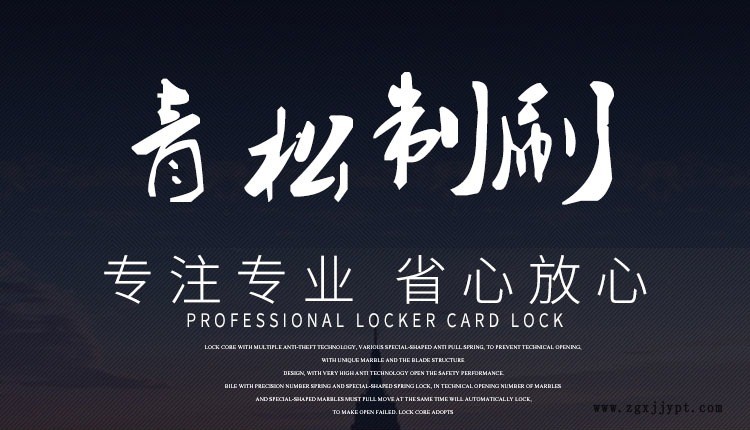 供應工業毛刷輥 磨料絲毛刷輥 木質毛刷輥 自動化設備毛刷輥示例圖1