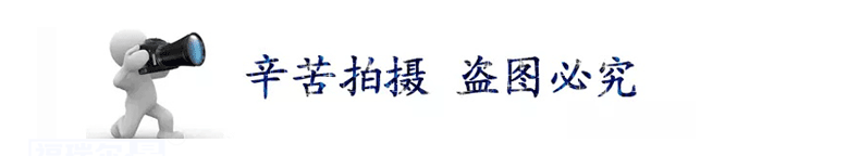 阻燃尼龍煤倉襯板 耐磨耐高溫尼龍料倉襯板高分子聚乙烯襯板示例圖2