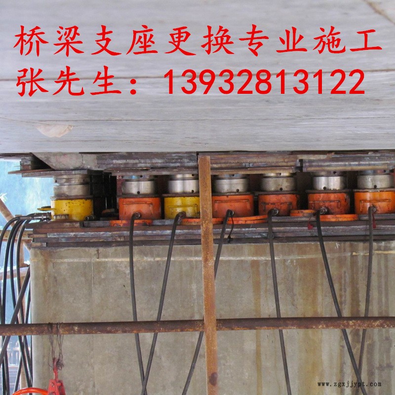 定制卓正橡塑 球型支座 鋼結構支座 專業供應可定制
