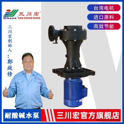 立式酸堿水泵 三川宏泵業SEB5032聚丙烯PP塑料廢氣噴淋塔電鍍蝕刻電泳污水處理耐酸堿腐蝕立式酸堿水泵