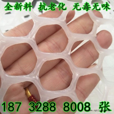 奔宇 ** 塑料平網  PP塑料網 PE塑料網 養殖塑料網 塑膠網 全新料 抗老化 使用年限長