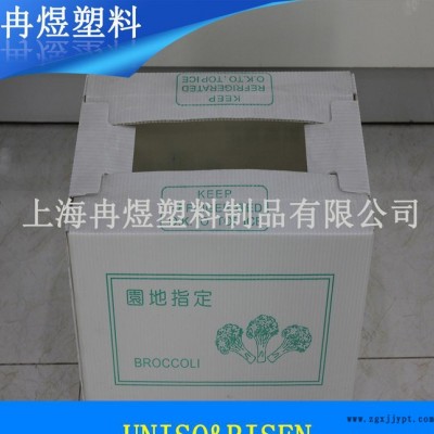 塑料中空板箱，PP中空板箱，環(huán)保塑料周轉(zhuǎn)箱 生產(chǎn)
