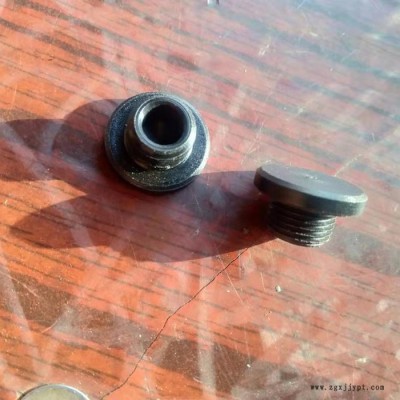現貨供應  增強尼龍滑輪 尼龍套 尼龍制品 尼龍托輥 尼龍模具制品
