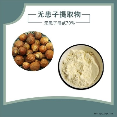 無患子皂甙 天域生物 無患子皂甙10%-70% 洗滌用品發(fā)泡劑 現(xiàn)貨供應