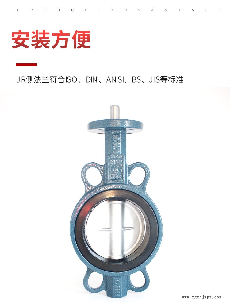 25-碳鋼無頭對(duì)夾蝶閥_04.jpg