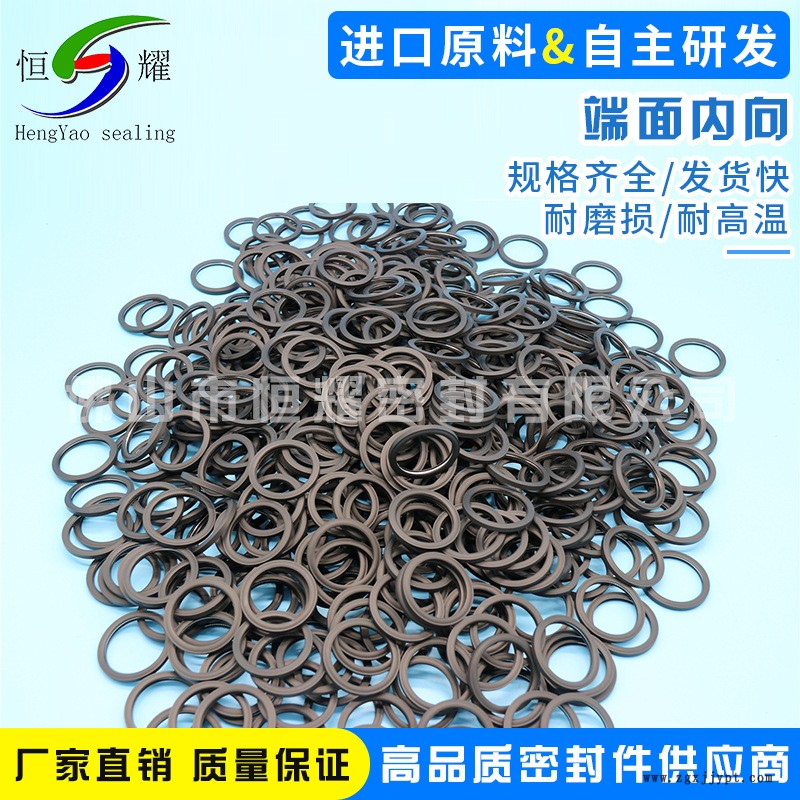 廠家直銷端面內向蓄能泛塞密封圈 端面內向泛塞封 雙面作用泛塞封示例圖5