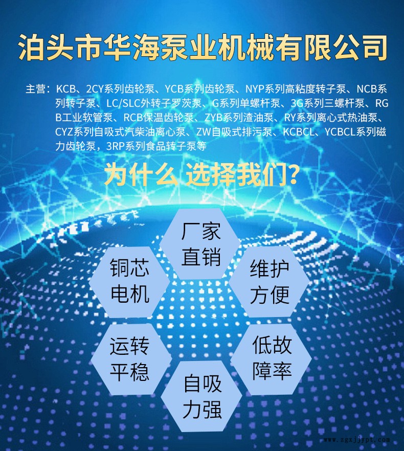 華海泵業直銷SLC-100/0.6容積式凸輪轉子泵 不銹鋼轉子泵 內環式保溫轉子泵示例圖10