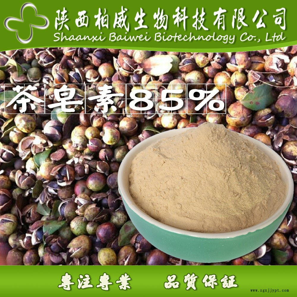 茶皂素 茶樹籽提取物 發泡劑 天然非離子表面活性劑 現貨批發價格示例圖3