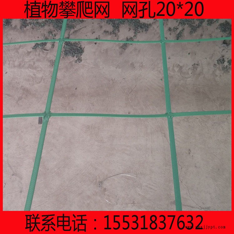 抗阻燃抗靜電鋼塑土工格柵 煤礦假頂網護幫網 鋼塑復合格柵阻燃劑示例圖1