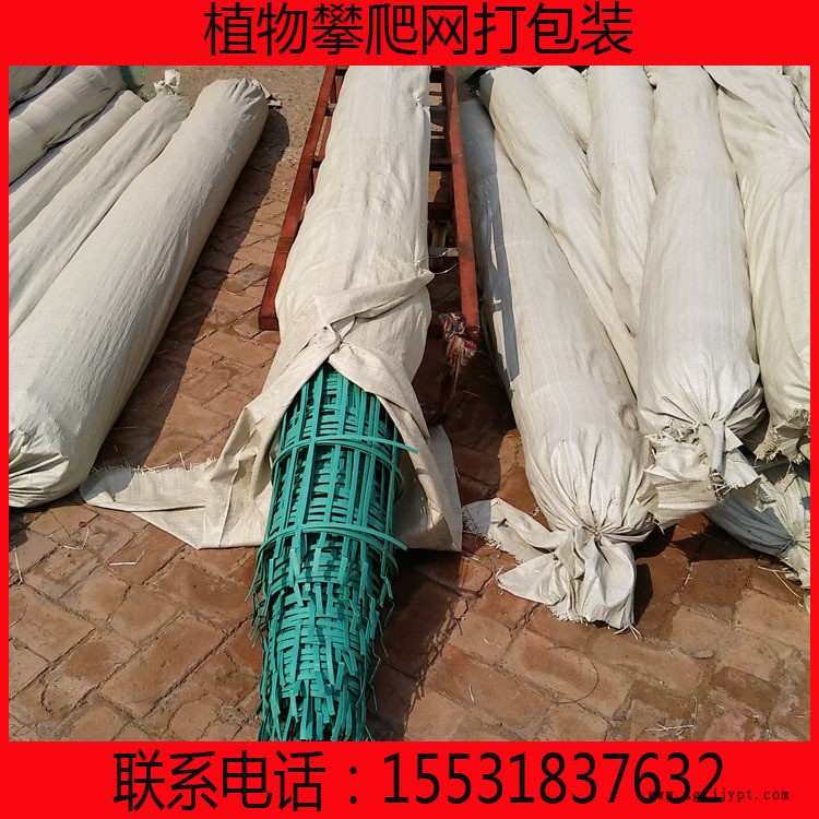 抗阻燃抗靜電鋼塑土工格柵 煤礦假頂網護幫網 鋼塑復合格柵阻燃劑示例圖2