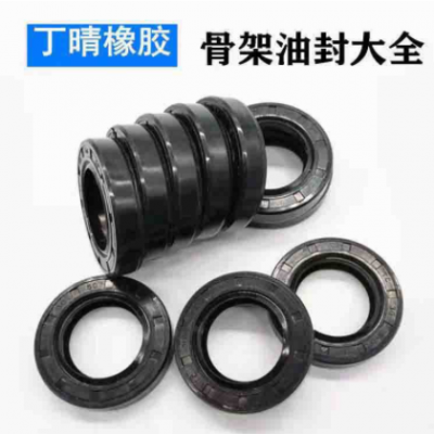 丁晴橡膠油封 電動(dòng)車(chē)軸承丁晴氟膠油封密封圈 洗衣機(jī)防水骨架油封