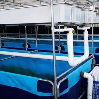 養殖水池布生產廠家-合肥養殖水池布-查氏蓬布l使用壽命長