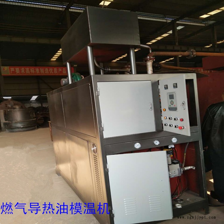 燃氣模溫機廠家/節能模溫機燃氣導熱油爐/環保燃氣鍋爐示例圖3